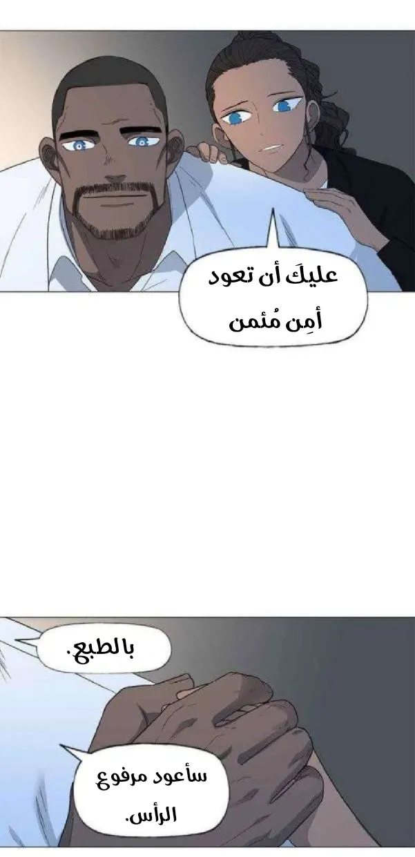 الصفحة 44 من 67