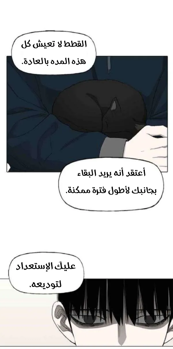 الصفحة 41 من 67