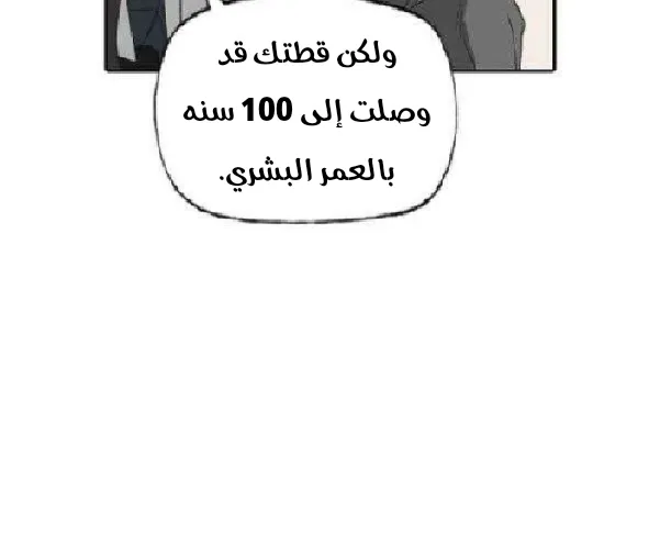 الصفحة 40 من 67