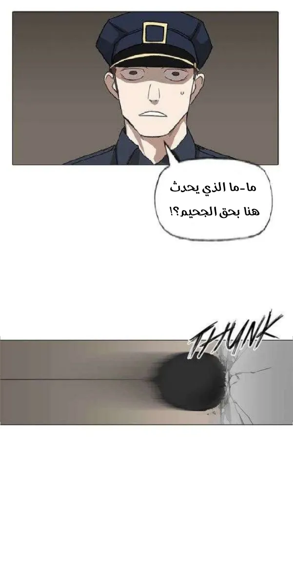 الصفحة 19 من 67