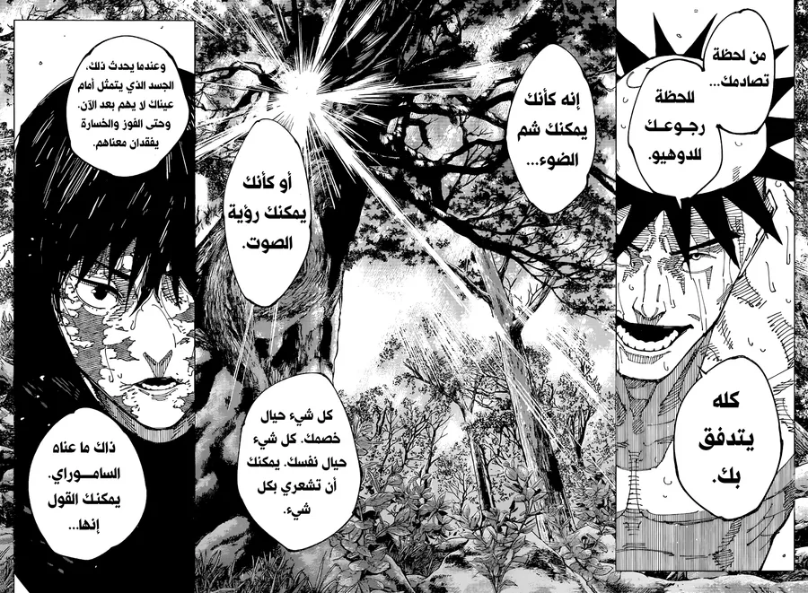 الصفحة 14 من 17