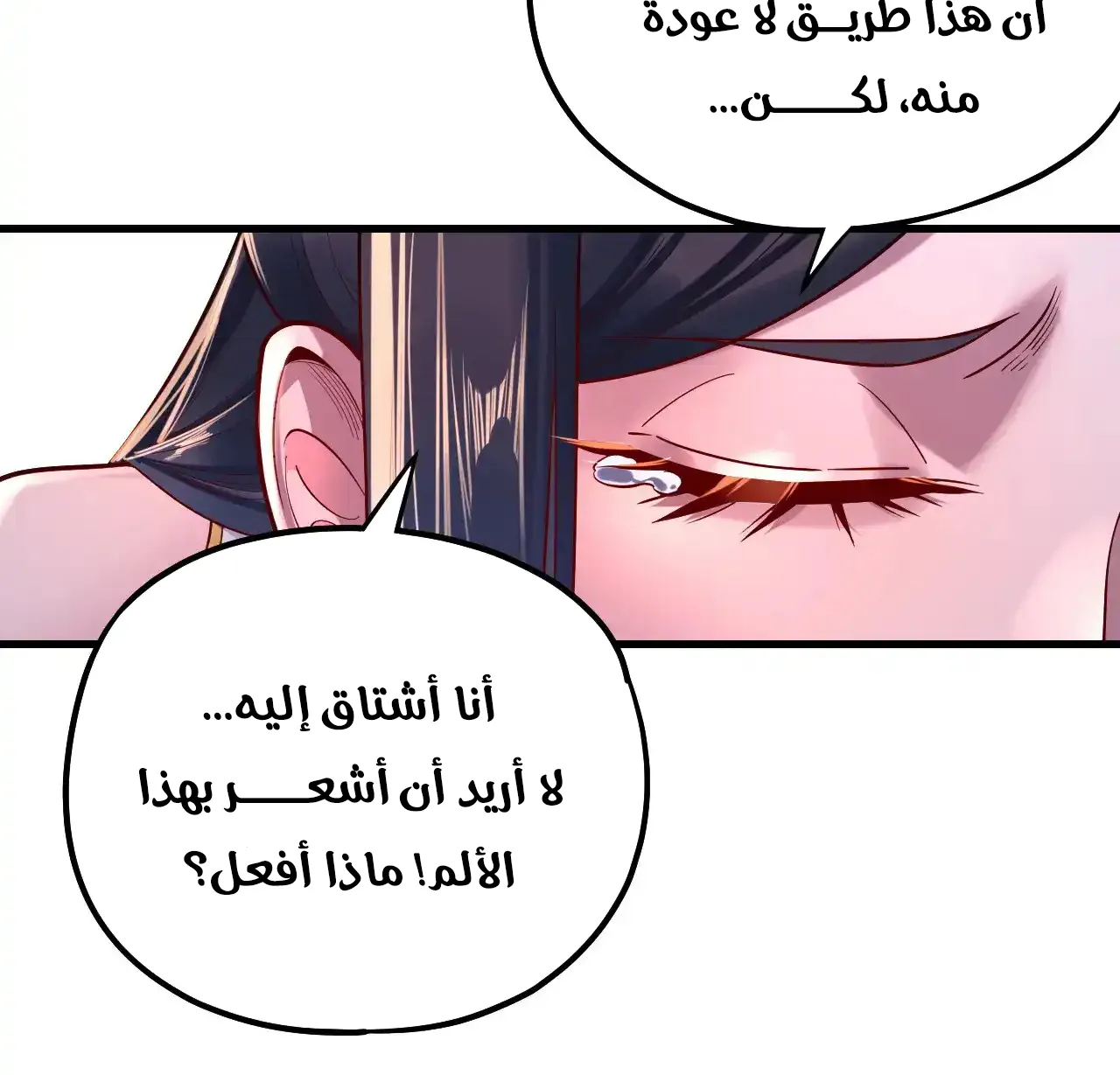الصفحة 46 من 95