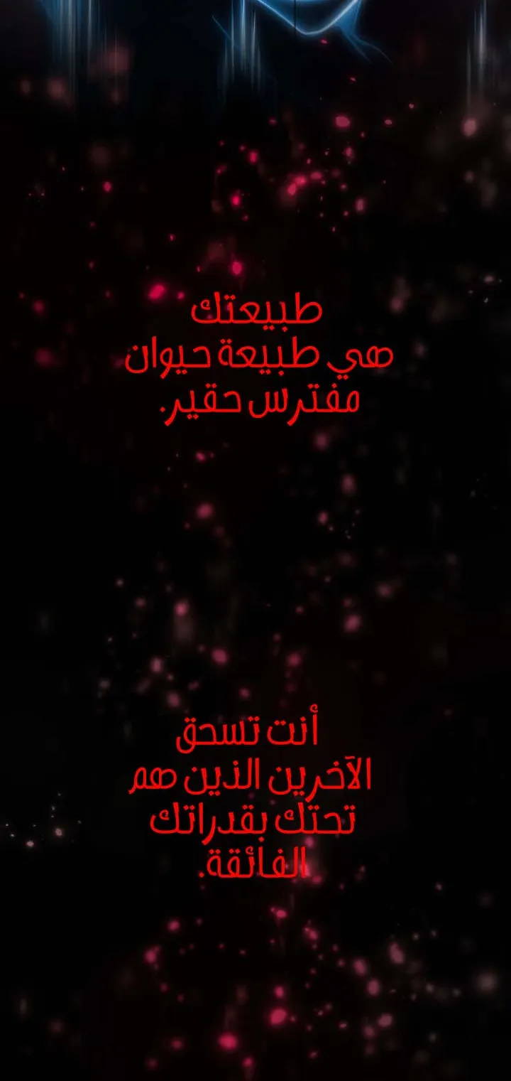 الصفحة 66 من 118