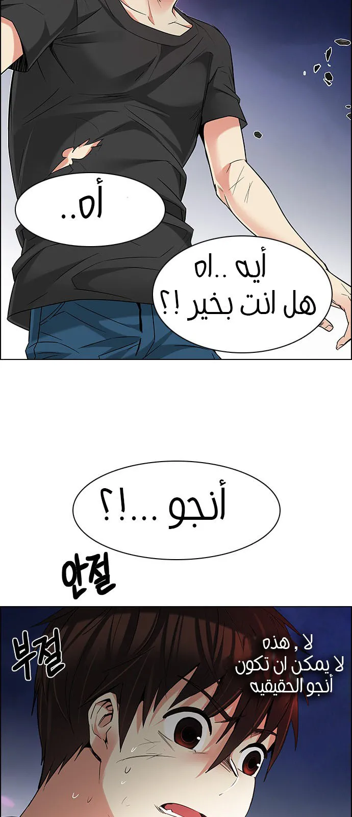 الصفحة 29 من 56
