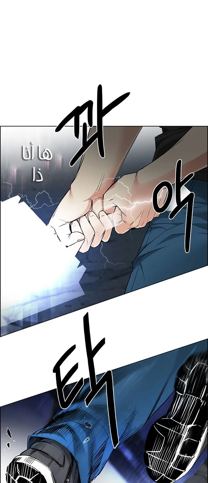 الصفحة 19 من 56