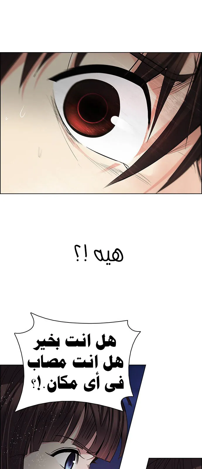 الصفحة 4 من 56