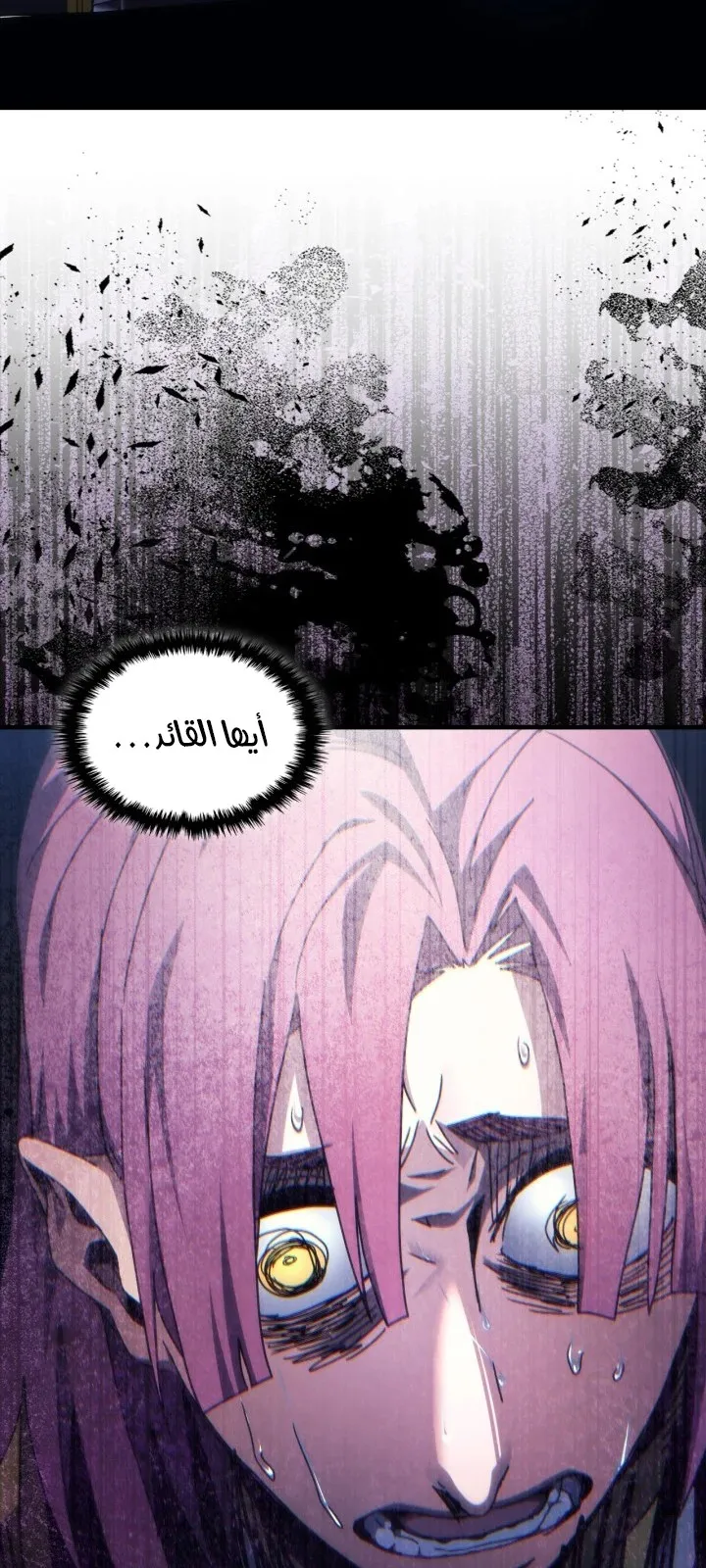الصفحة 62 من 66