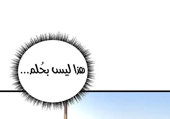 الصفحة 46 من 69