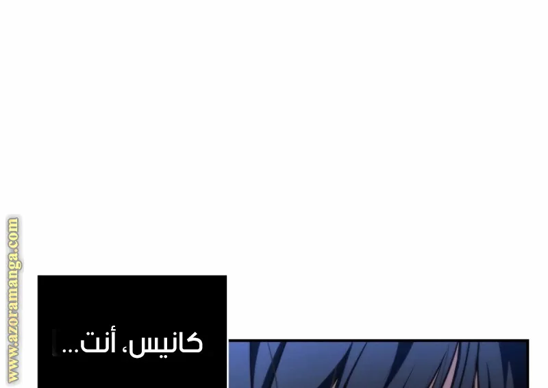 الصفحة 62 من 117