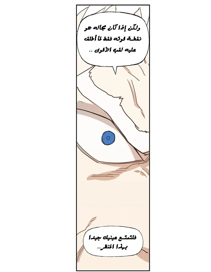 الصفحة 54 من 78