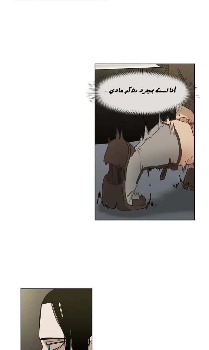 الصفحة 49 من 78