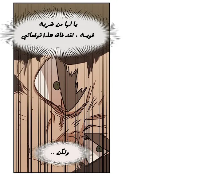 الصفحة 48 من 78