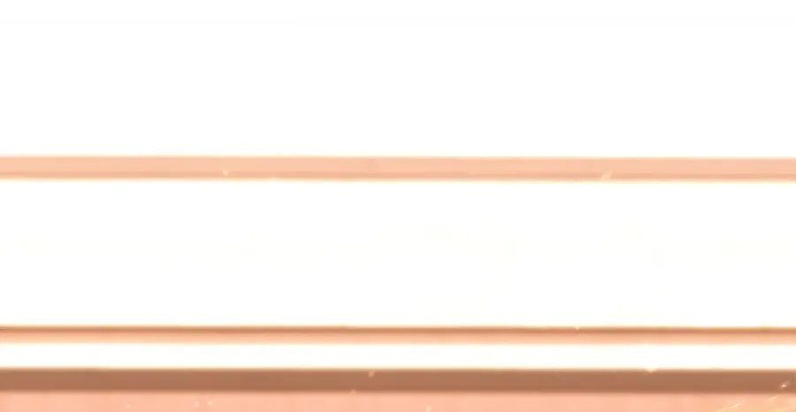 الصفحة 58 من 155
