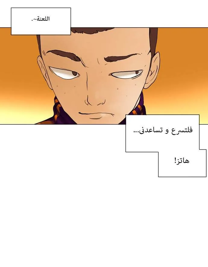 الصفحة 41 من 53