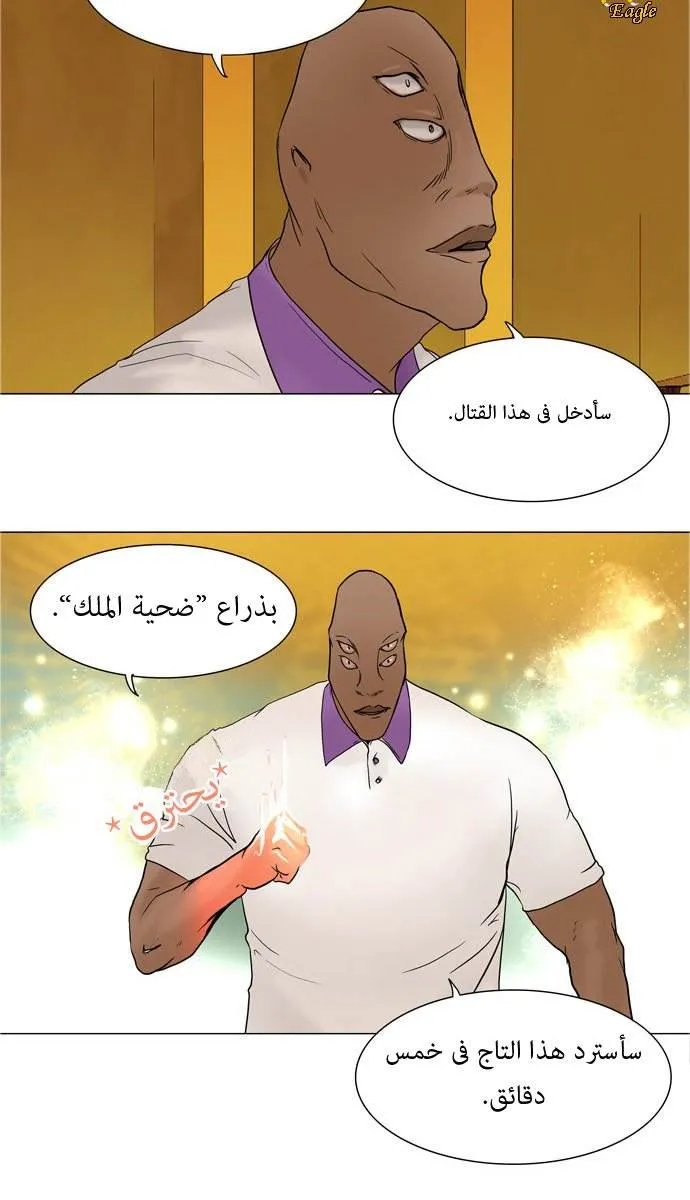 الصفحة 33 من 53