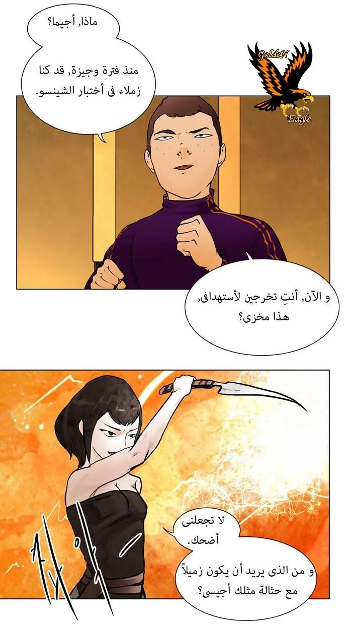 الصفحة 19 من 53