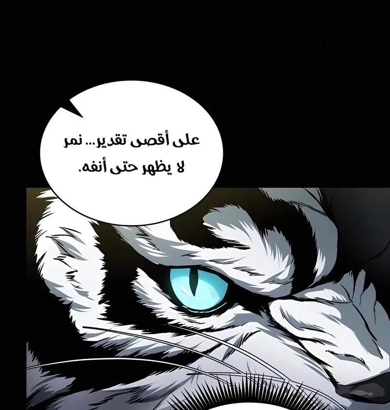 الصفحة 31 من 114