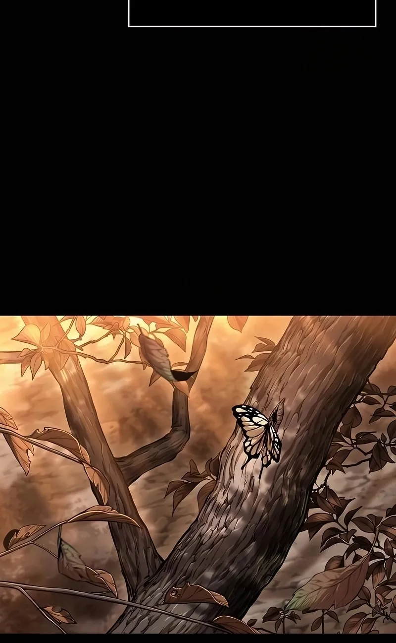 الصفحة 55 من 114