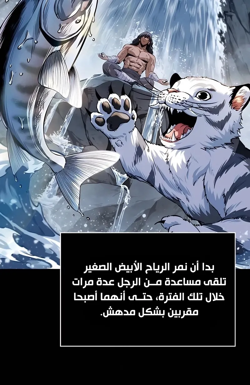الصفحة 20 من 114