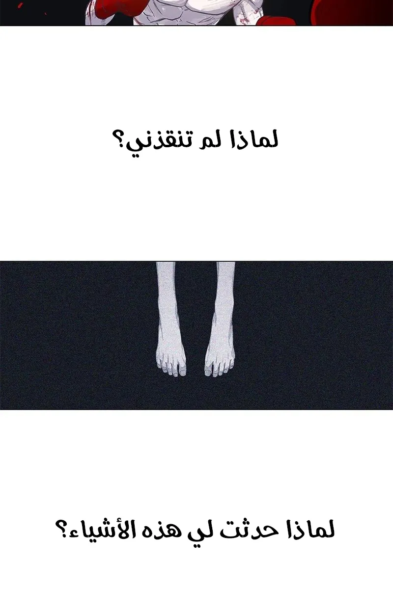 الصفحة 23 من 184