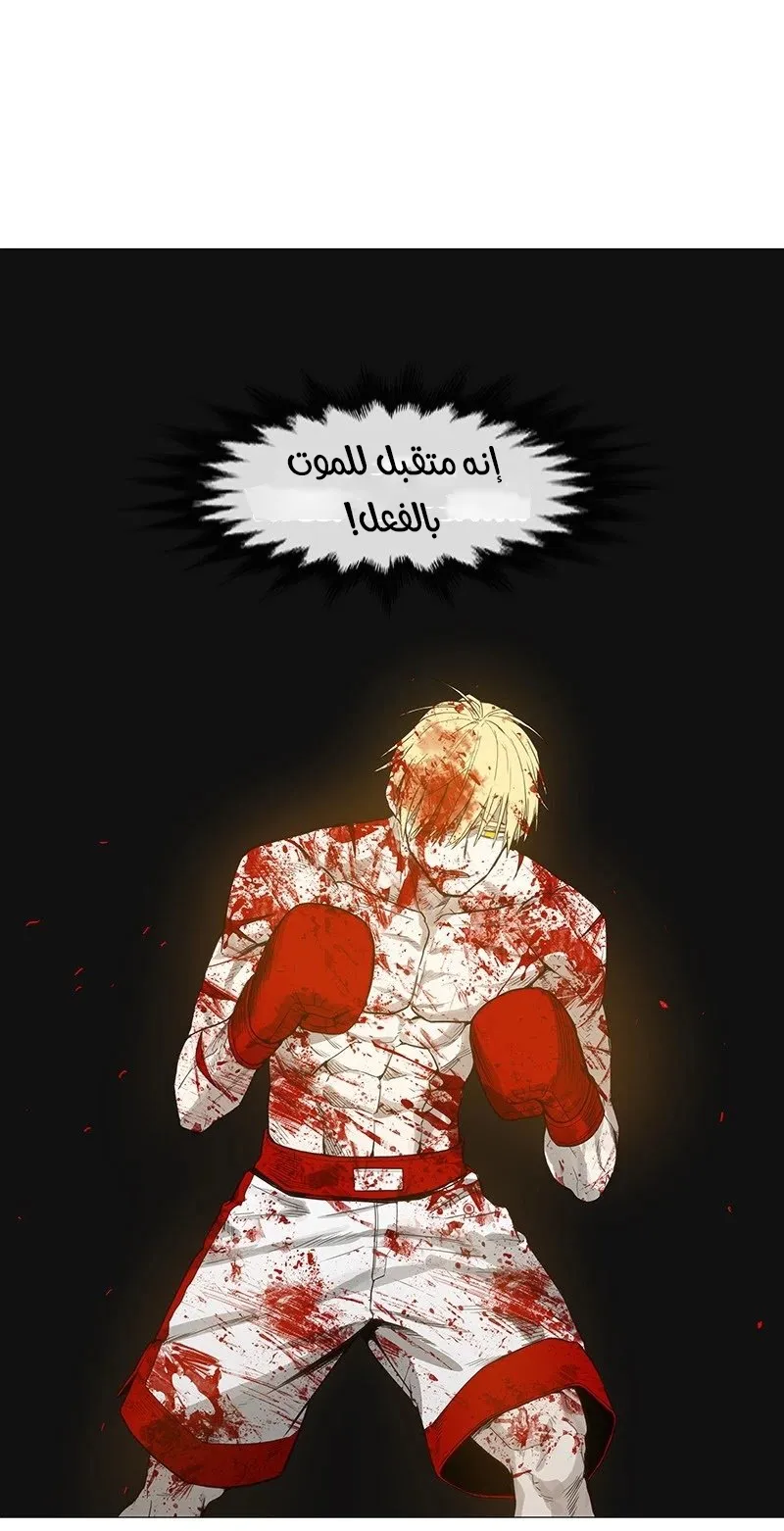 الصفحة 97 من 184