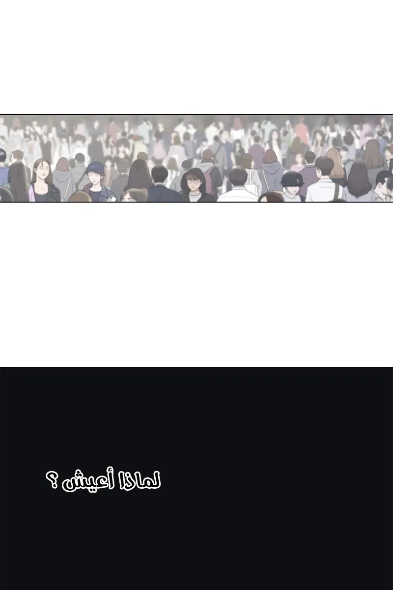 الصفحة 29 من 184