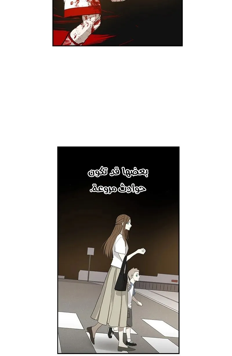 الصفحة 44 من 184