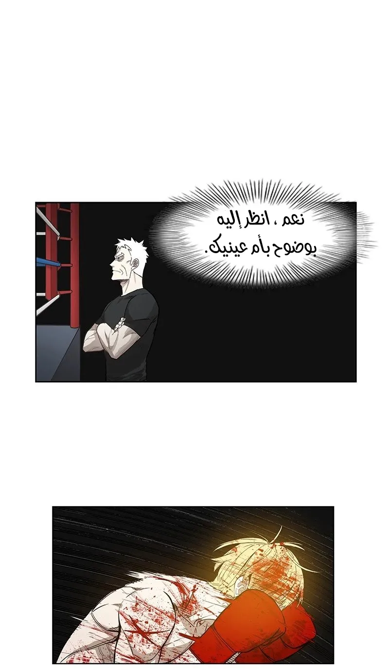 الصفحة 53 من 184