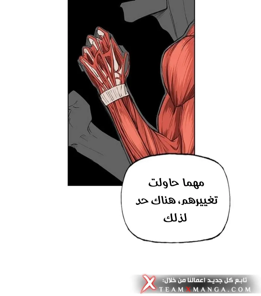 الصفحة 19 من 103