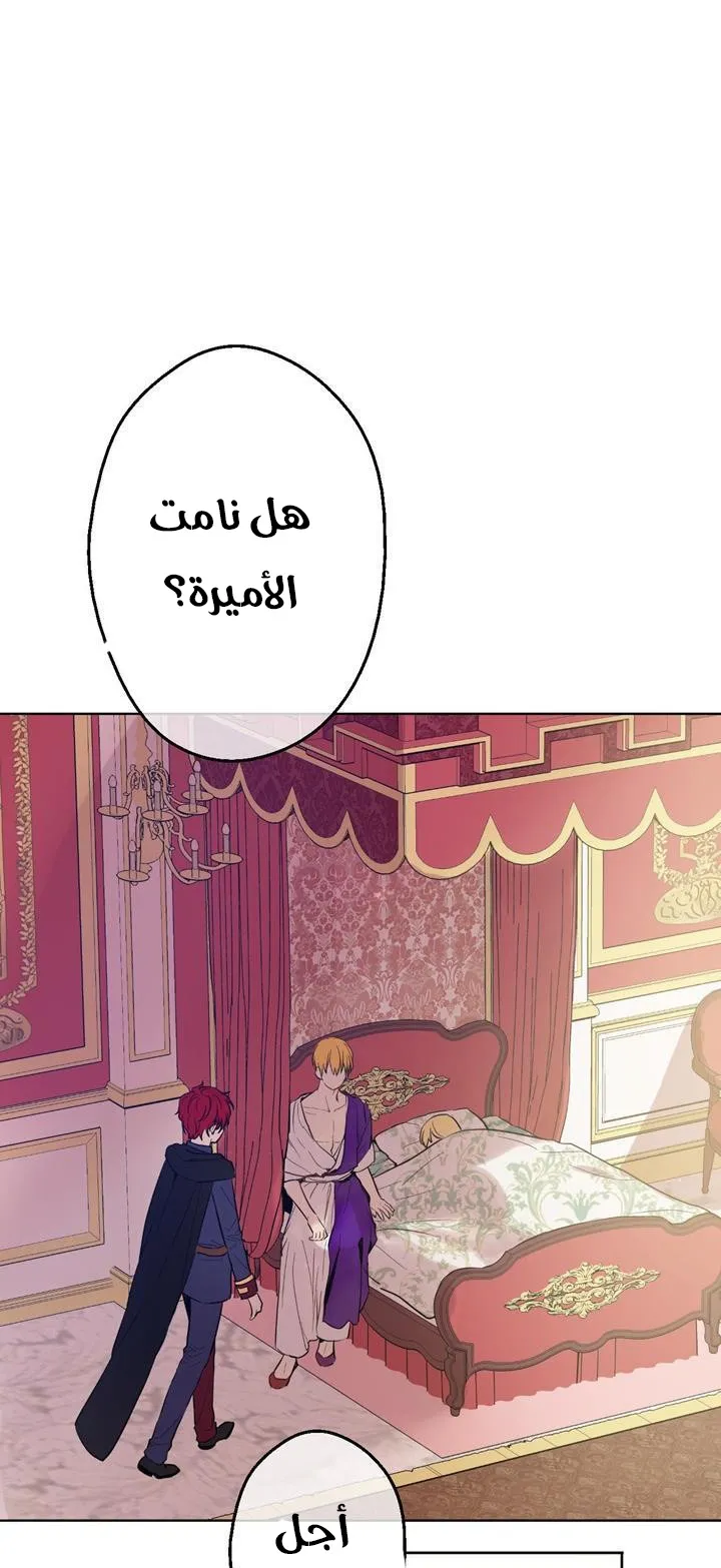 الصفحة 52 من 84