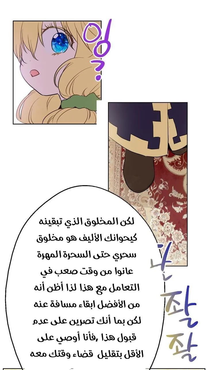 الصفحة 28 من 84