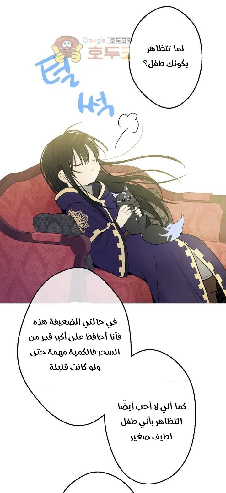 الصفحة 22 من 84