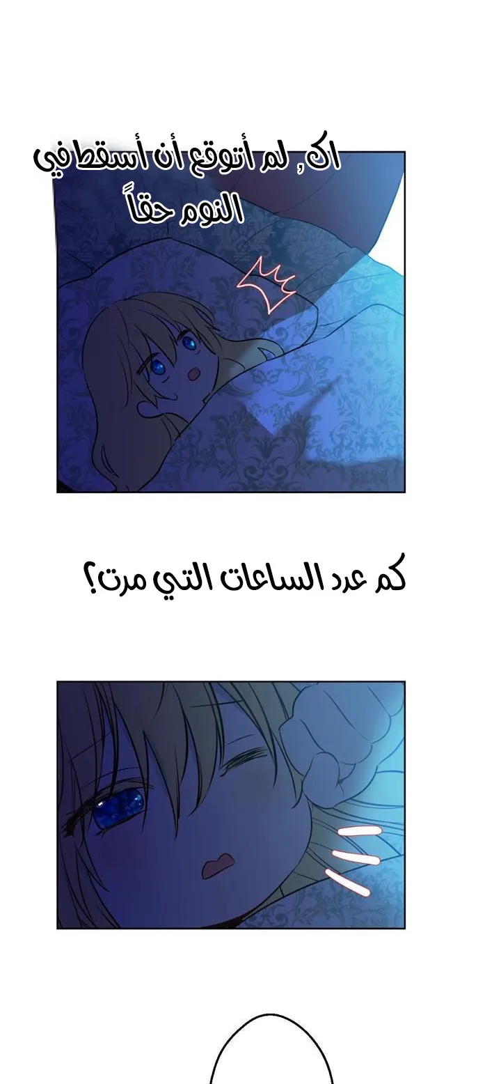 الصفحة 44 من 84