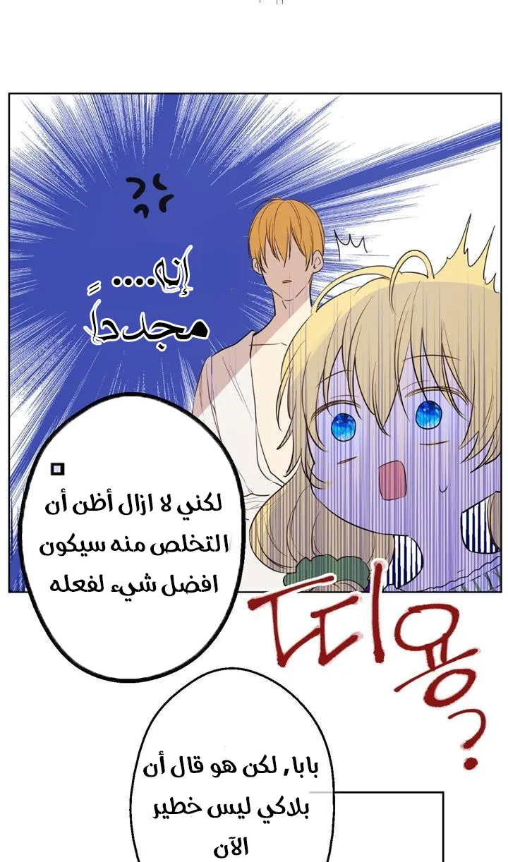 الصفحة 30 من 84
