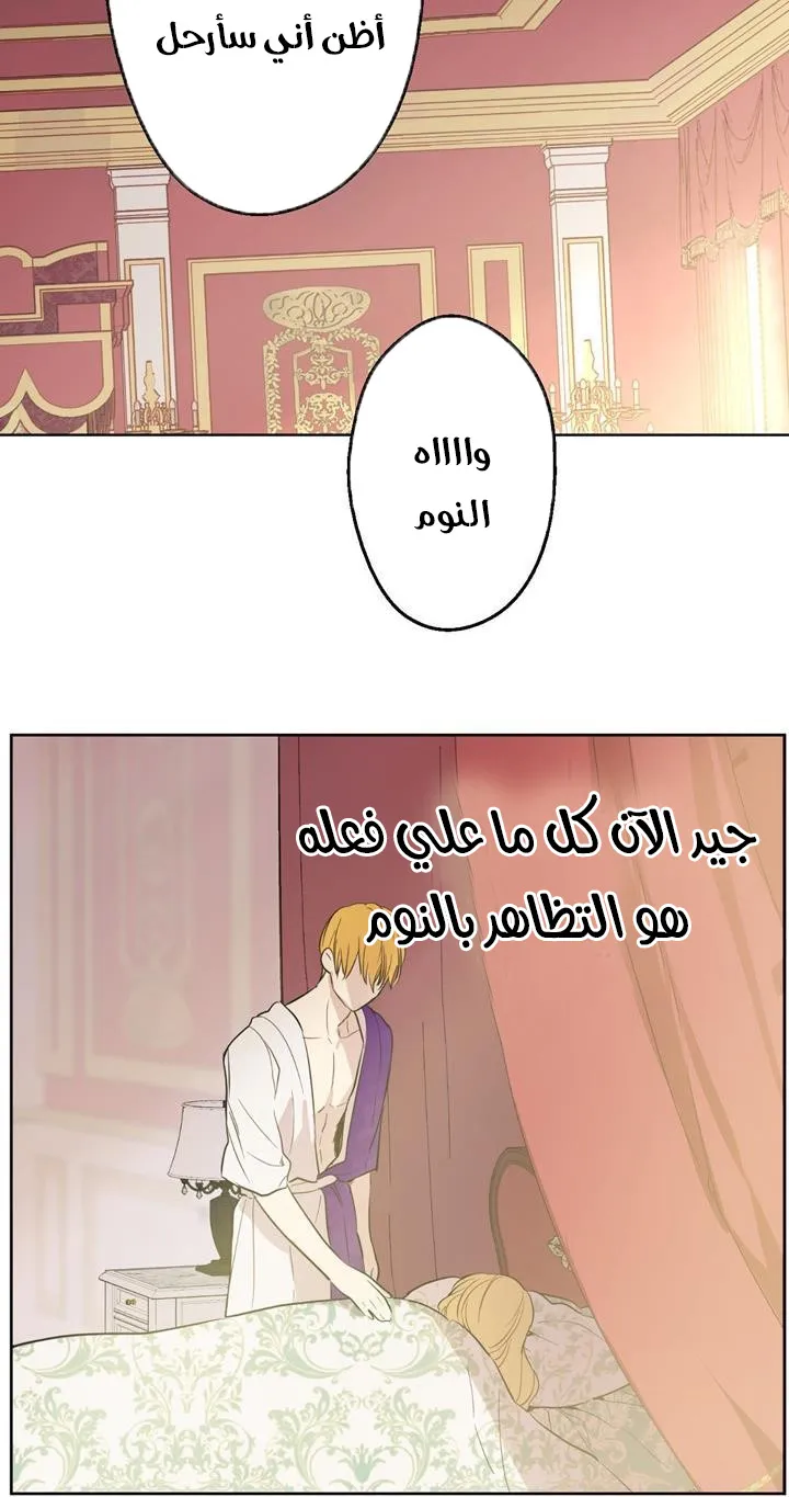 الصفحة 39 من 84