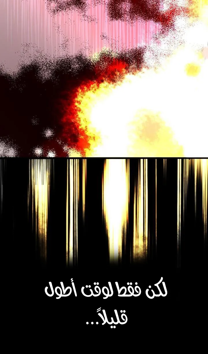الصفحة 74 من 84