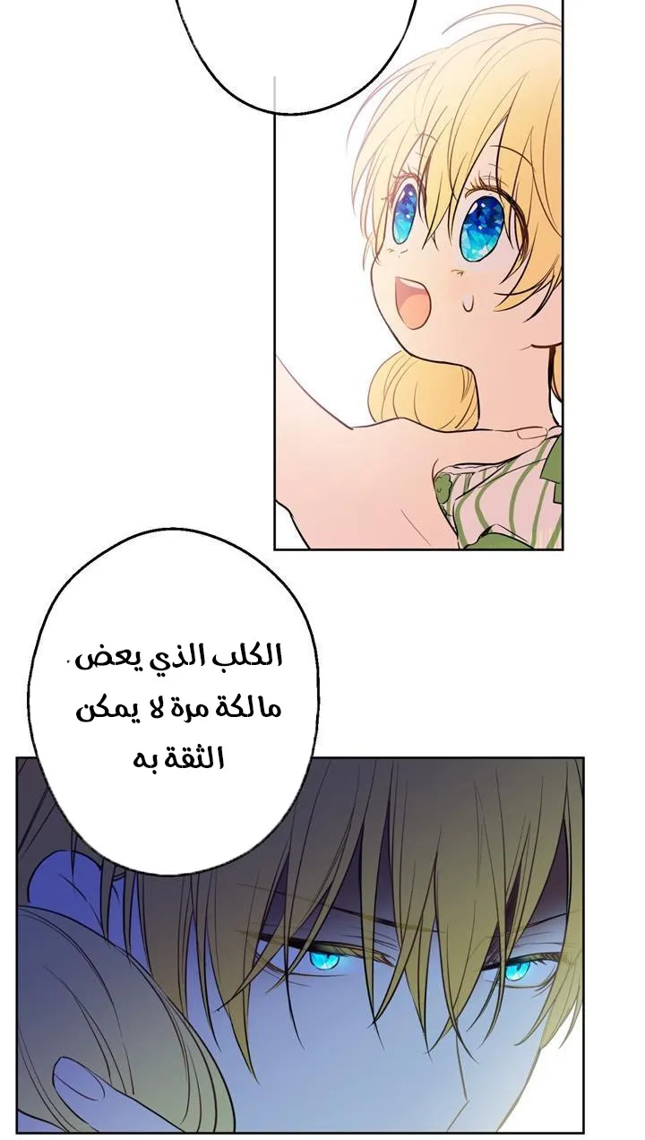 الصفحة 31 من 84
