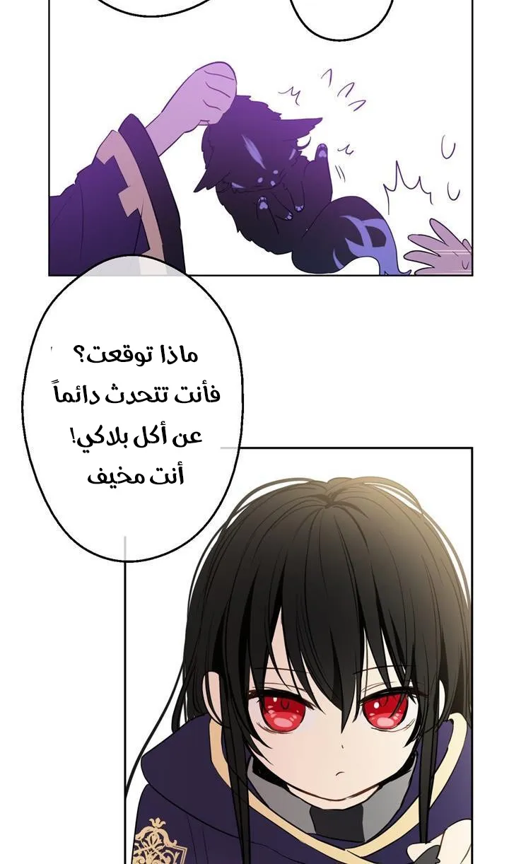 الصفحة 20 من 84