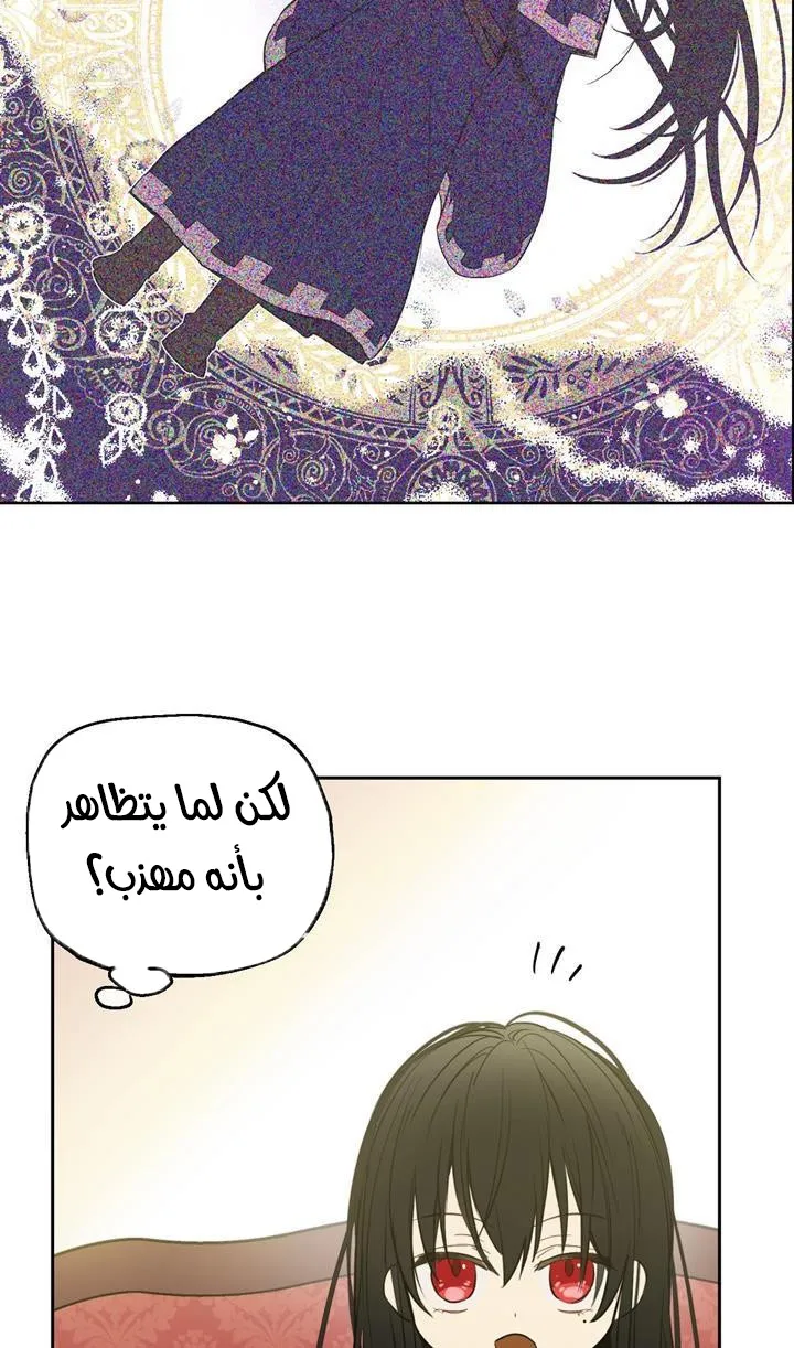 الصفحة 8 من 84