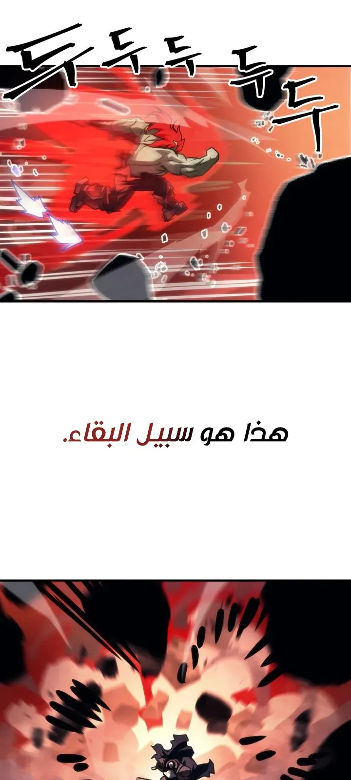 الصفحة 53 من 72
