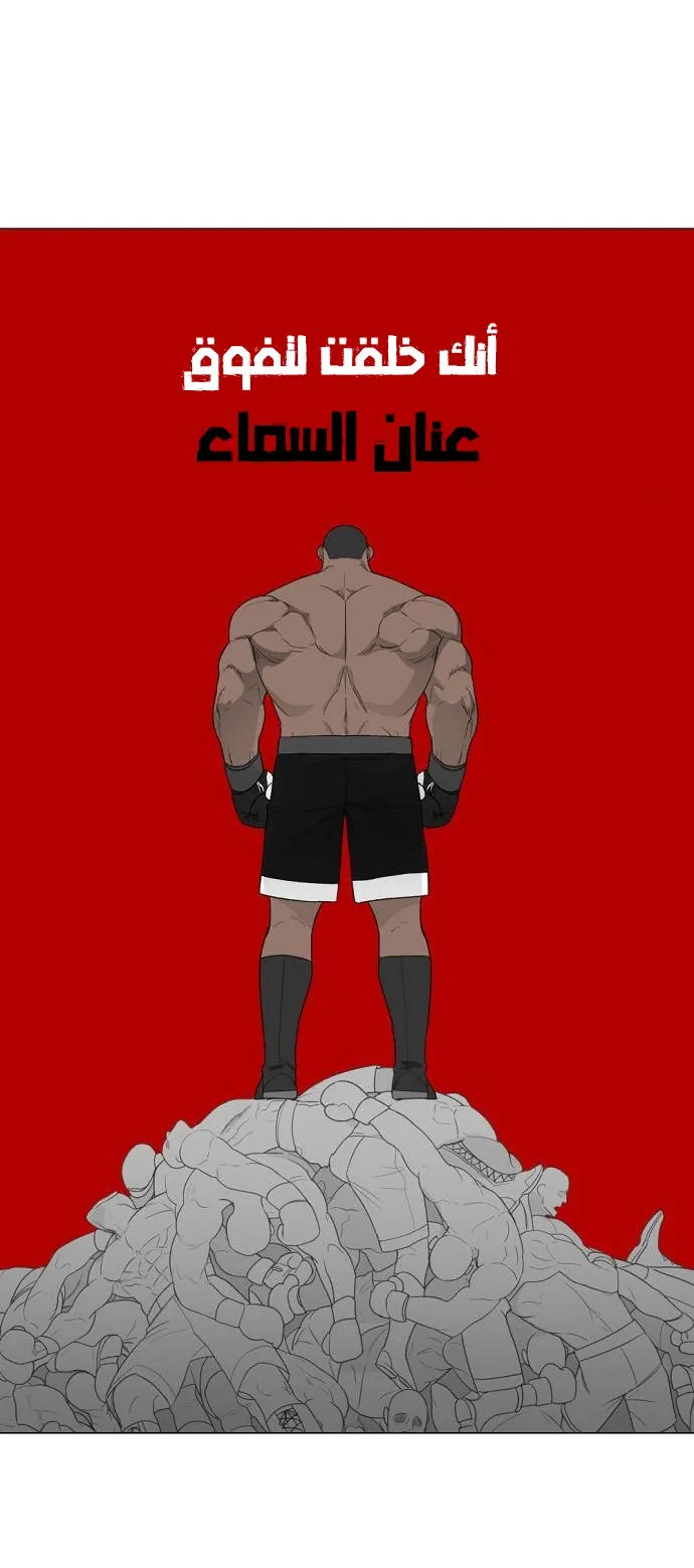الصفحة 41 من 60