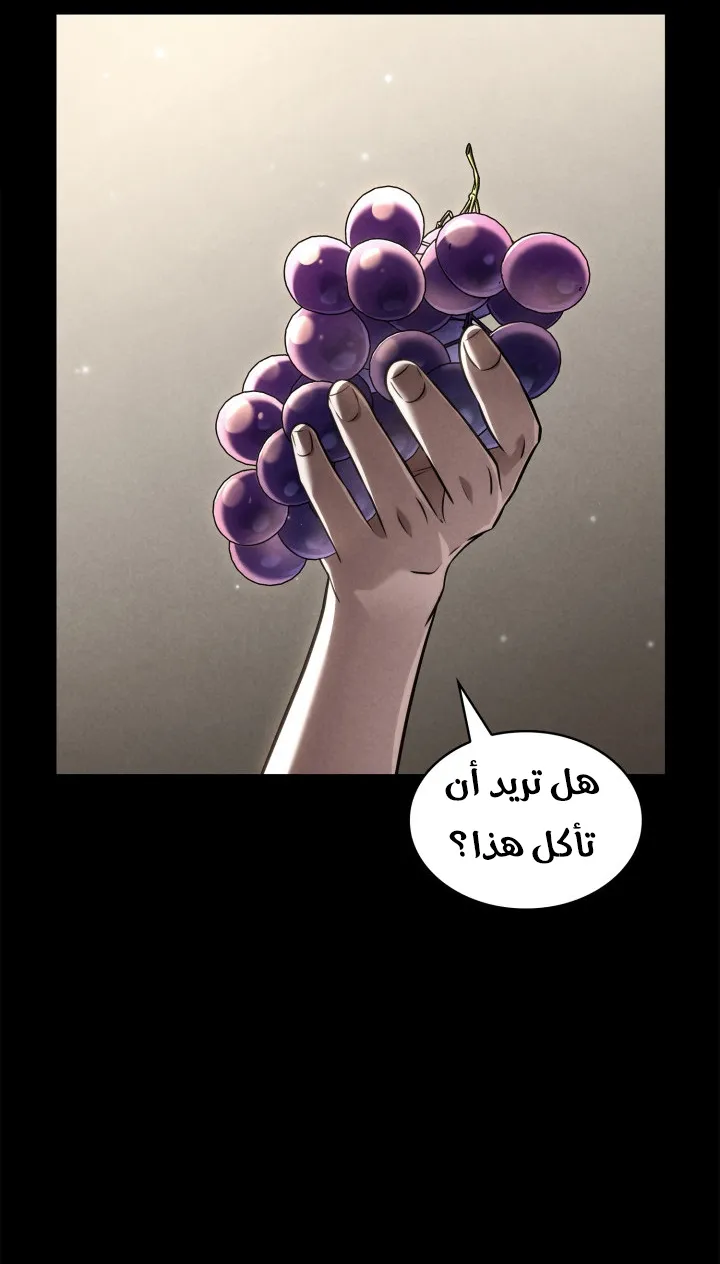 الصفحة 17 من 166