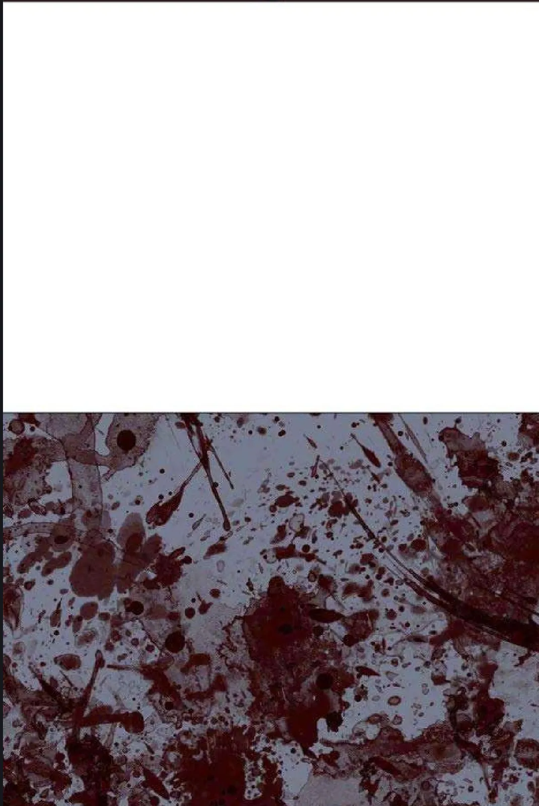 الصفحة 87 من 97