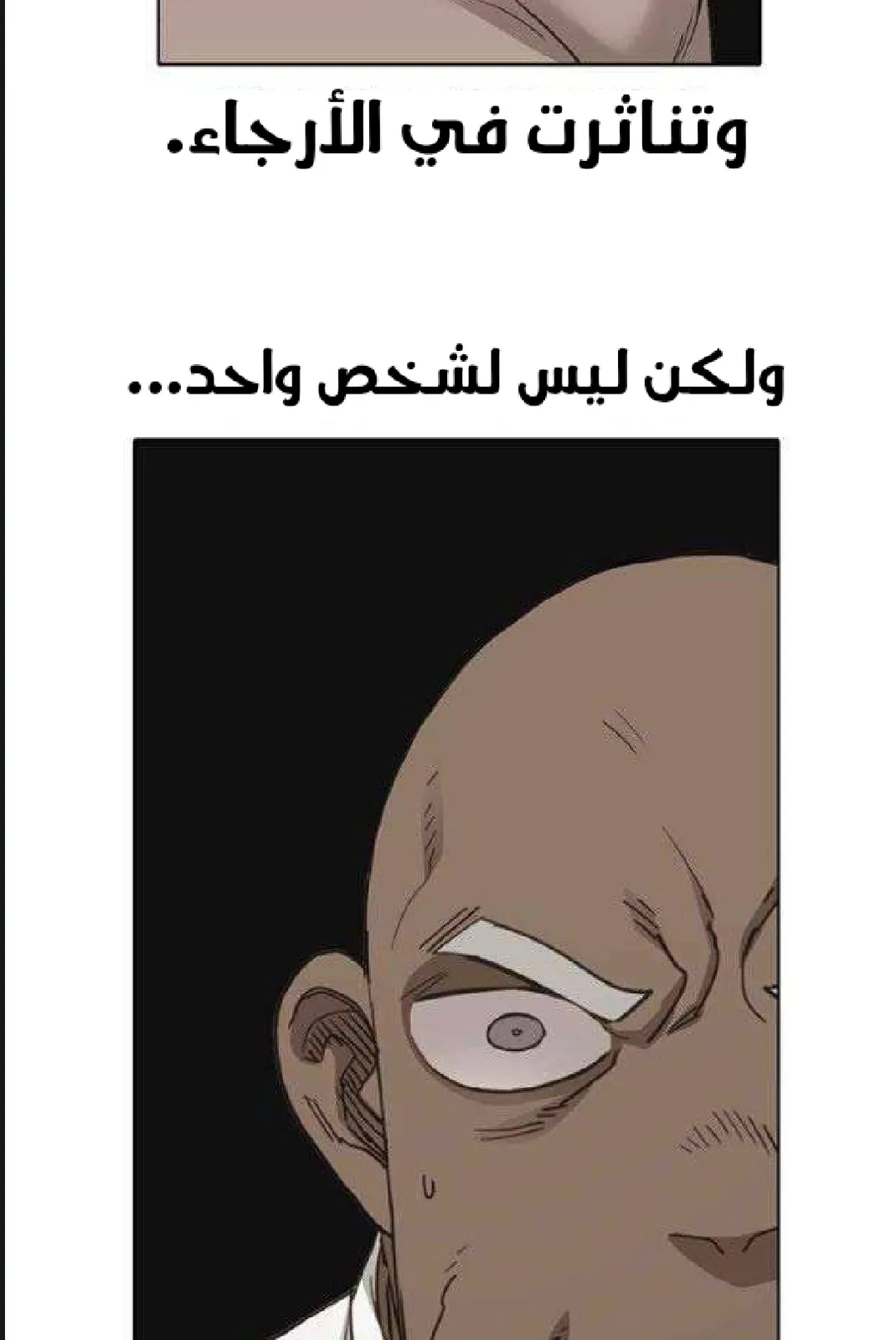 الصفحة 78 من 97