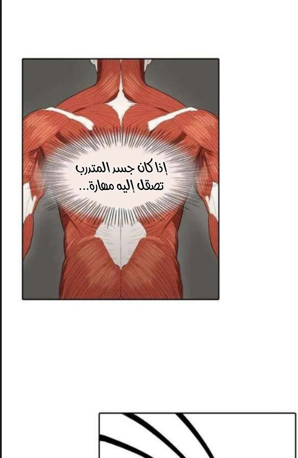 الصفحة 2 من 97
