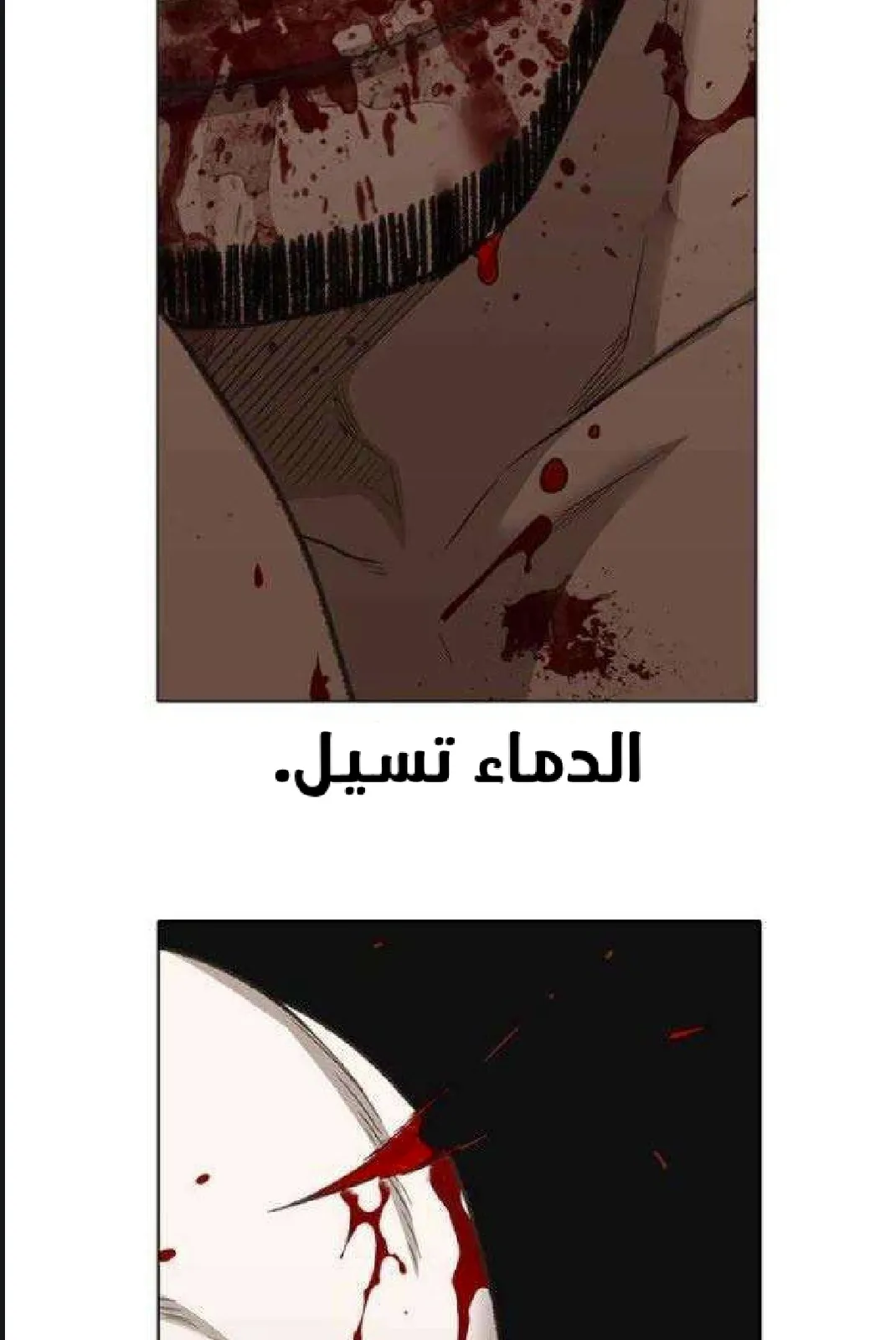 الصفحة 76 من 97