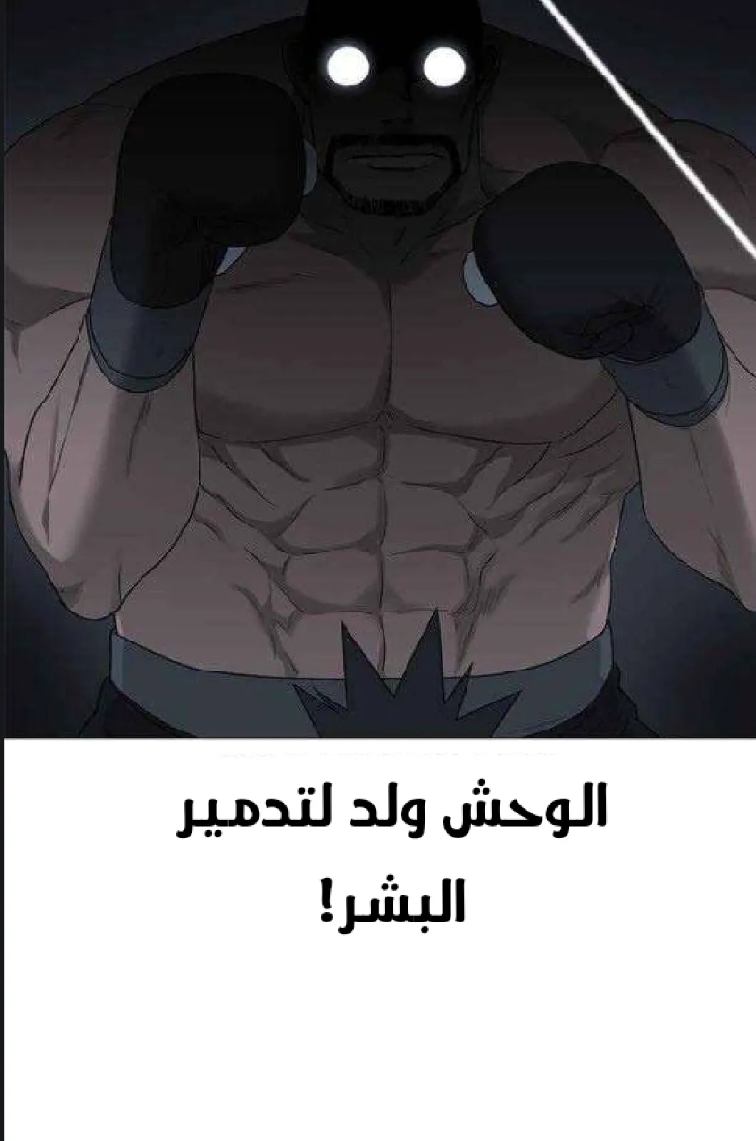 الصفحة 56 من 97