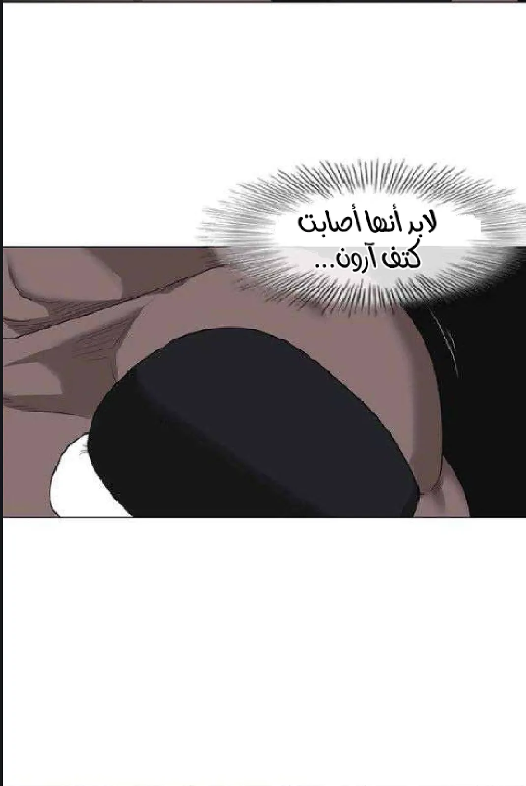 الصفحة 26 من 97