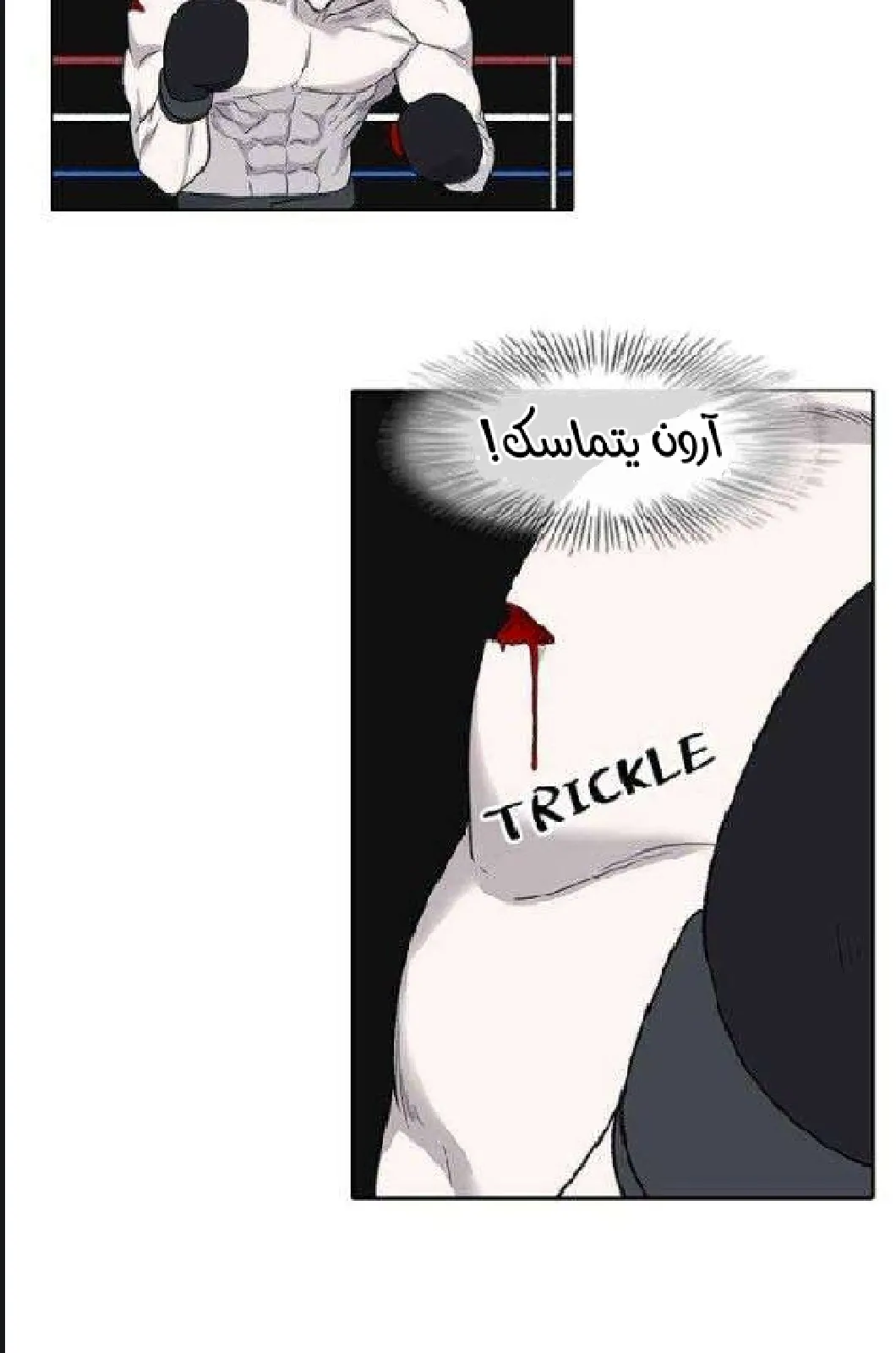 الصفحة 46 من 97
