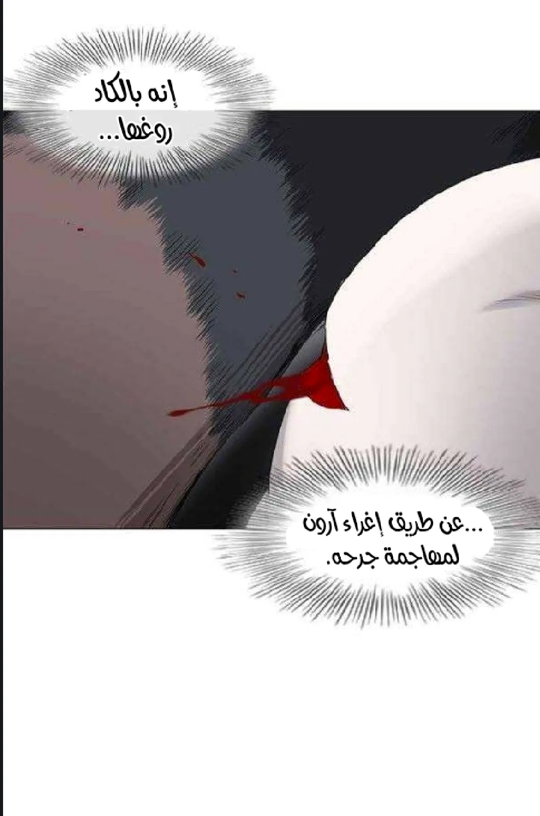 الصفحة 54 من 97